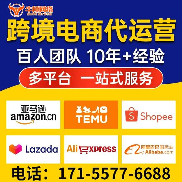 资阳电商代运营