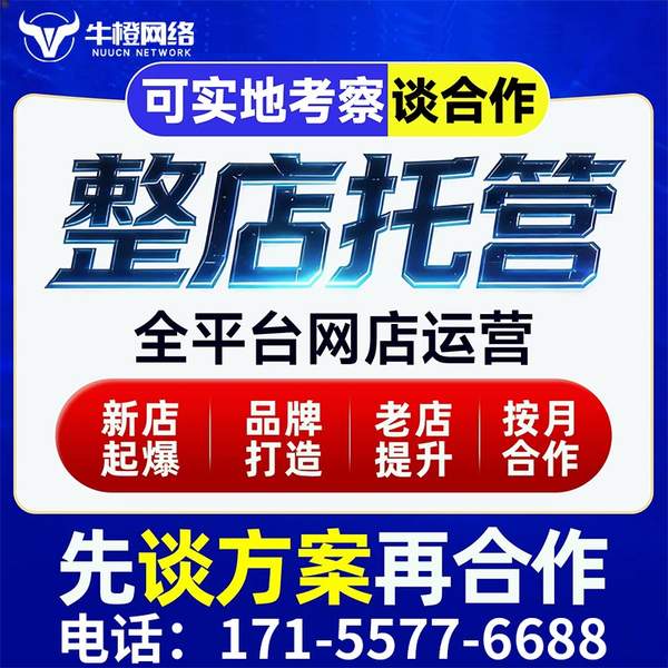 资阳电商代运营