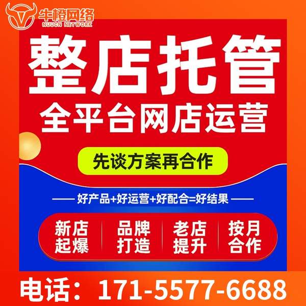 资阳电商代运营