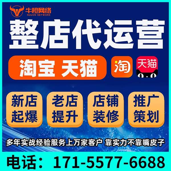 资阳电商代运营