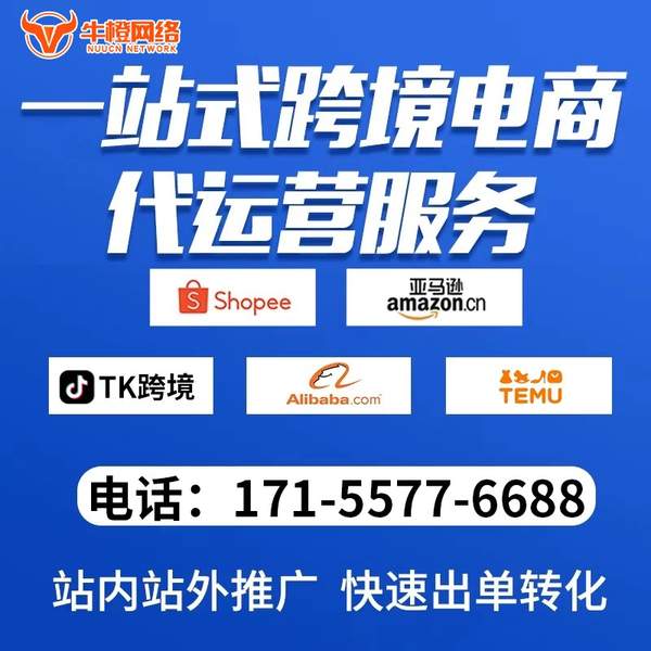 资阳电商代运营