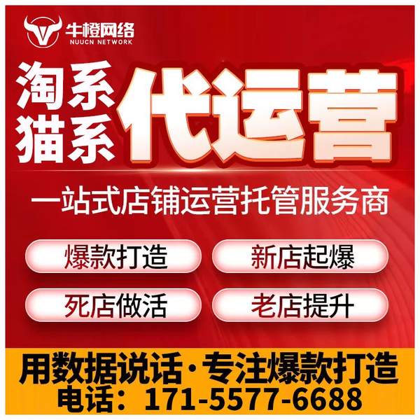 资阳电商代运营